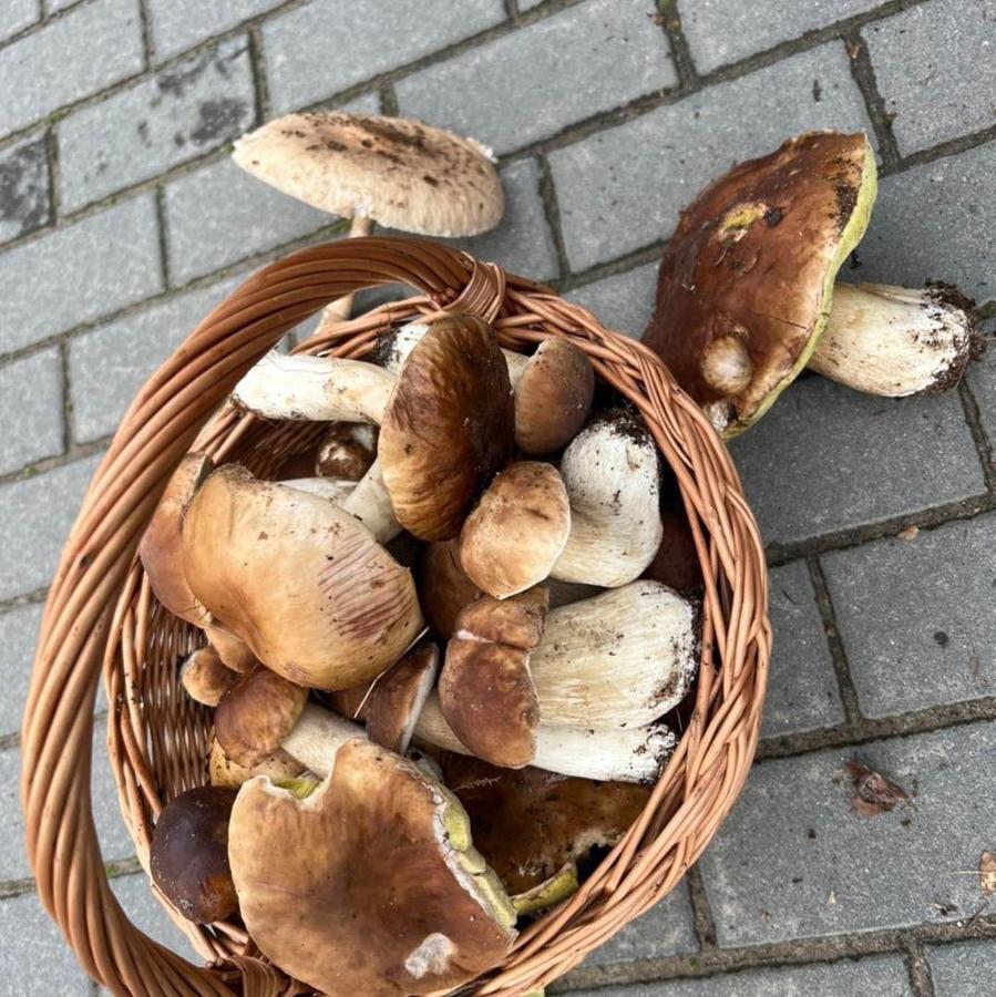 Domek nad jeziorem Myślibórz Zewnętrze zdjęcie